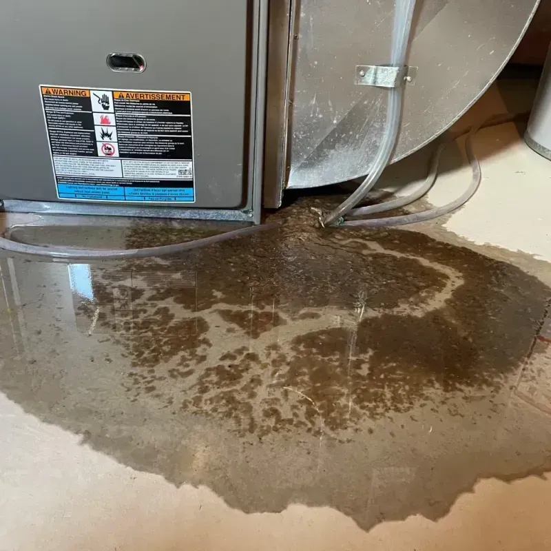 Appliance Leak Cleanup in Mayfield, OH